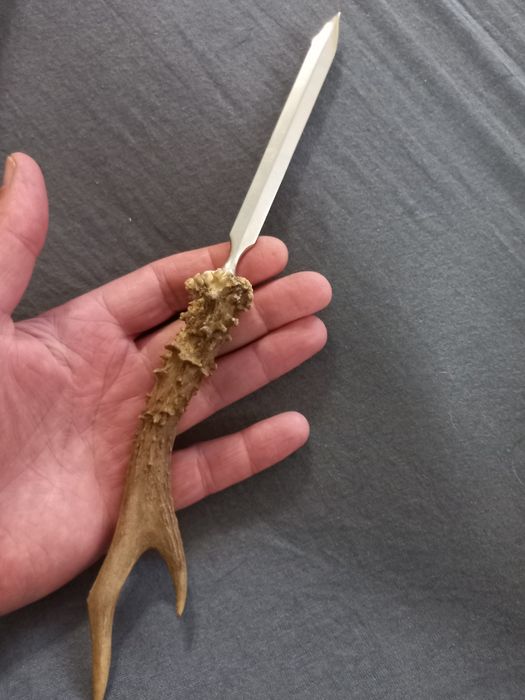 Nóż (nożyk) do papieru -  parostek kozła- myślistwo