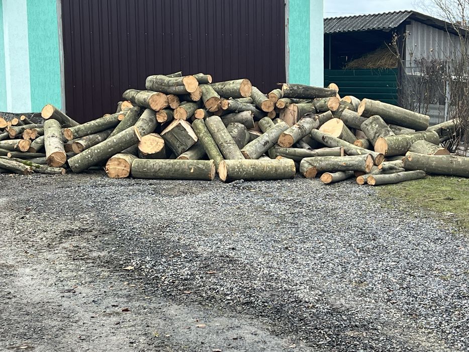 Продаж , доставка Дорова тверда та м’яка порода