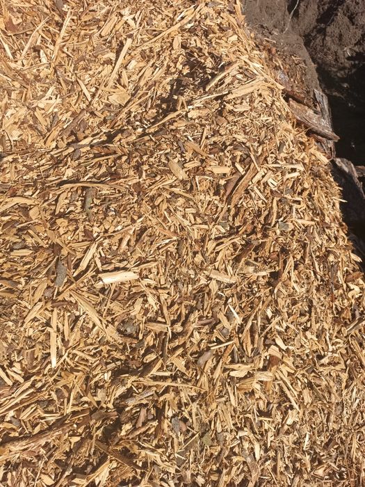 Zrębki drzewne do ściółkowania i palenia