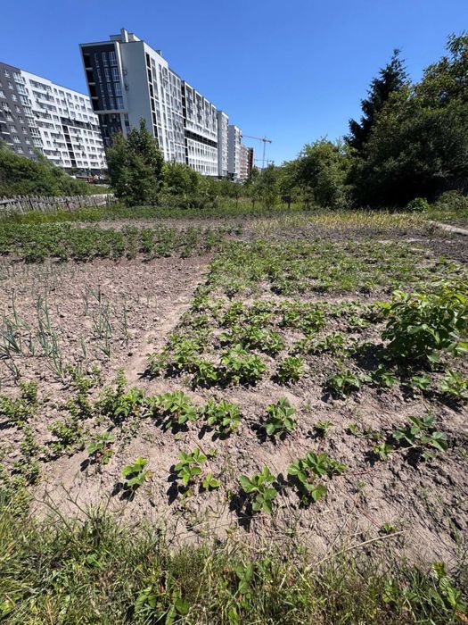 Продаж земельної ділянки  Сокільники