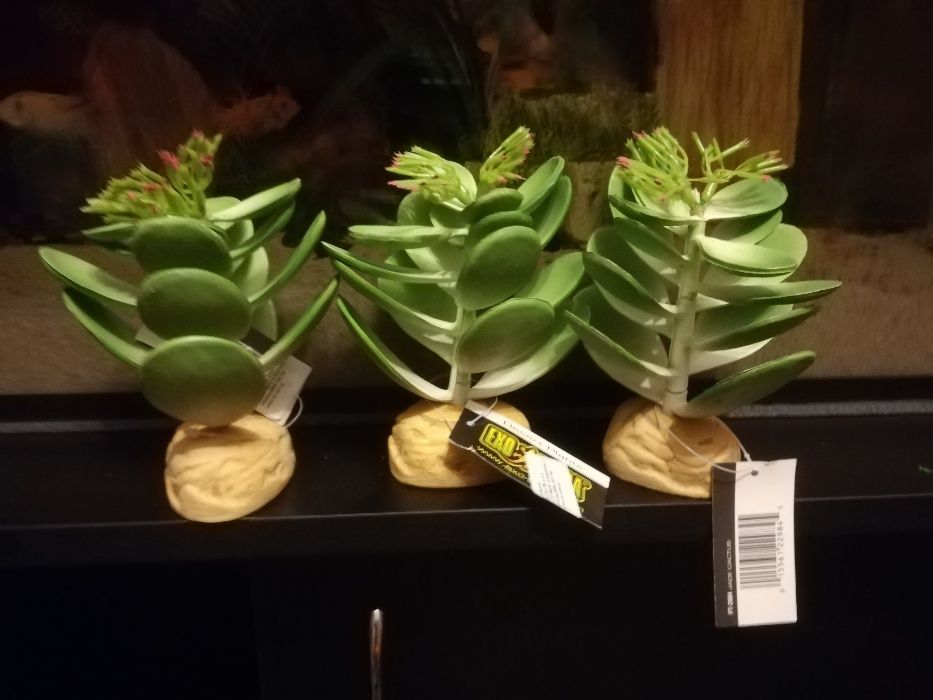 TERRARIUM rośliny Exoterra nowe terarium