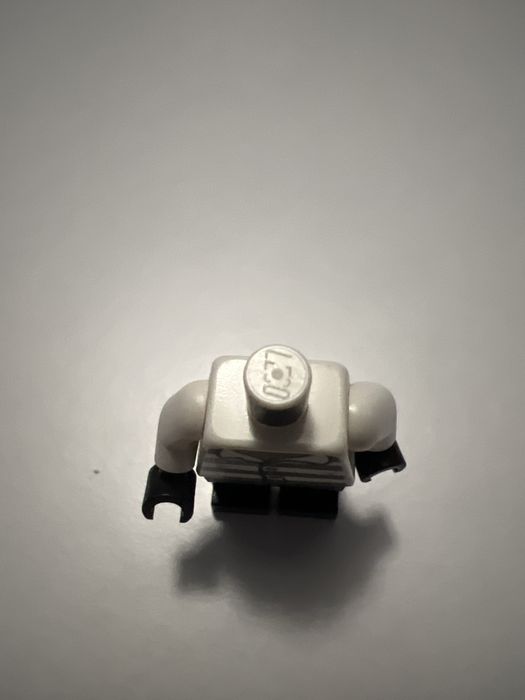 Kamieny wojownik lego ninjago