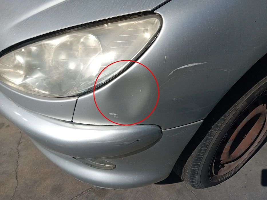 Guarda-lamas esquerdo PEUGEOT 206 (2A/C)