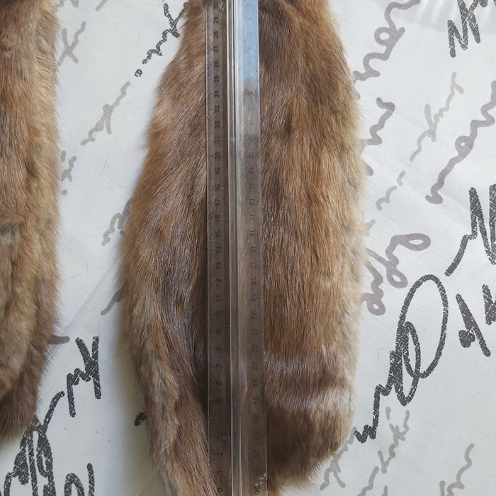 Zestaw skórek z tchorzofredek