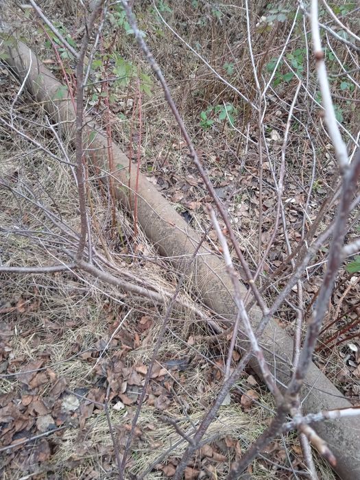 Трубы бу разных диаметров