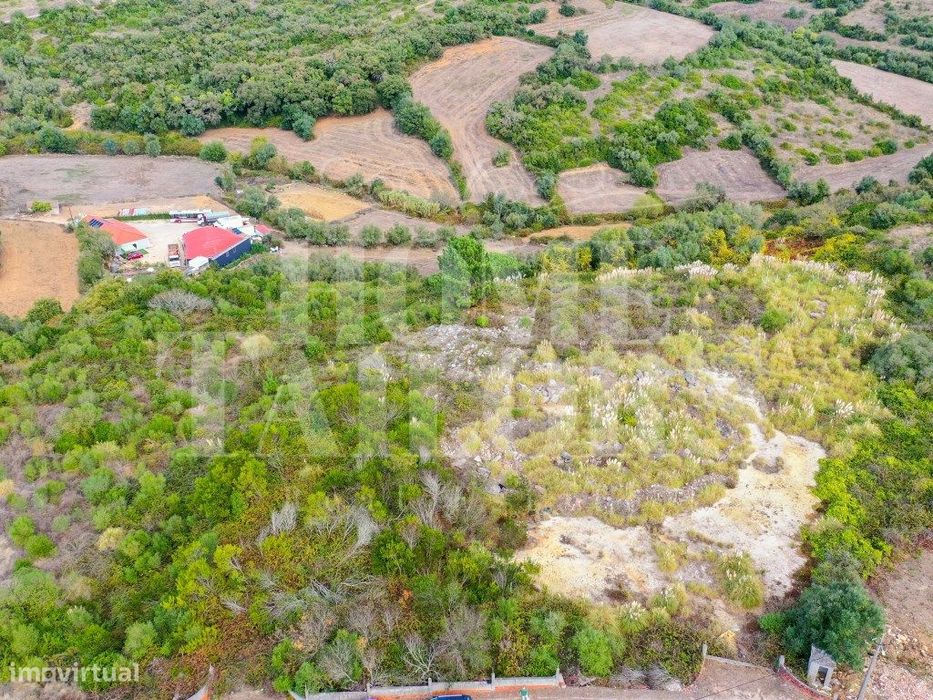 Terreno Rústico à Venda - Campitos
