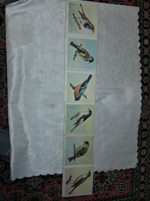 Птицы книжка-раскладка