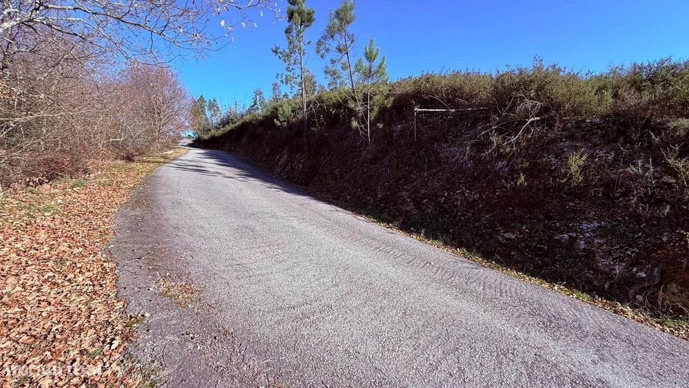 Terreno em Veade, Gagos e Molares