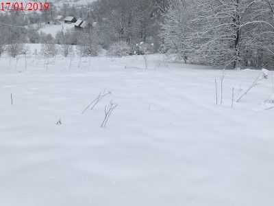 Продаж земельної ділянки (25 сот.) с.Орявчик Львівська обл. 29500$