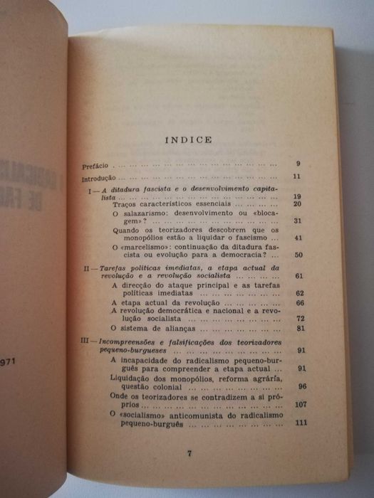 Radicalismo Pequeno Burguês de Fachada Socialista