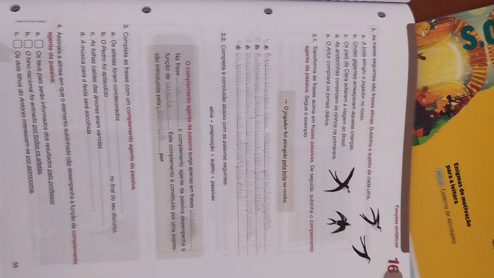 Caderno atividades