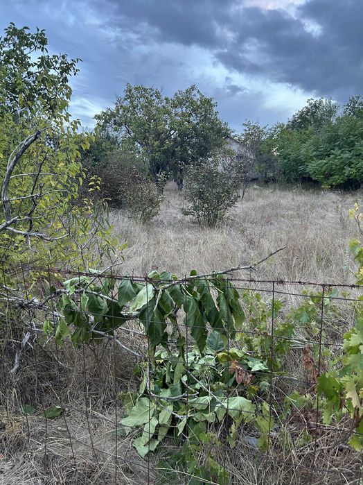 Супер пропозиція!