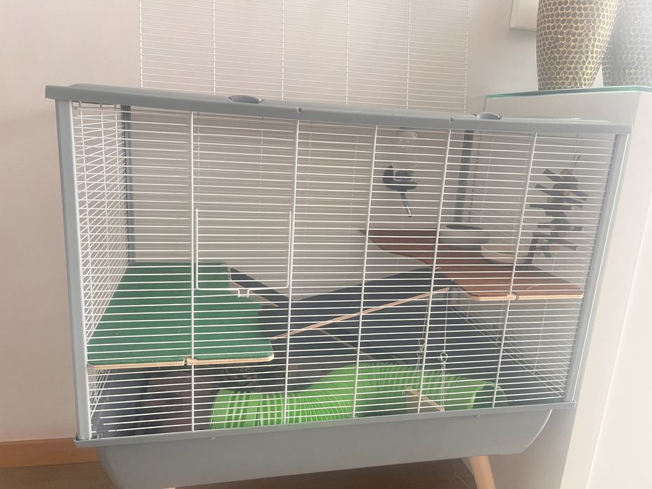 Vendo gaiola porquinho da india e todos os acessorios negociável