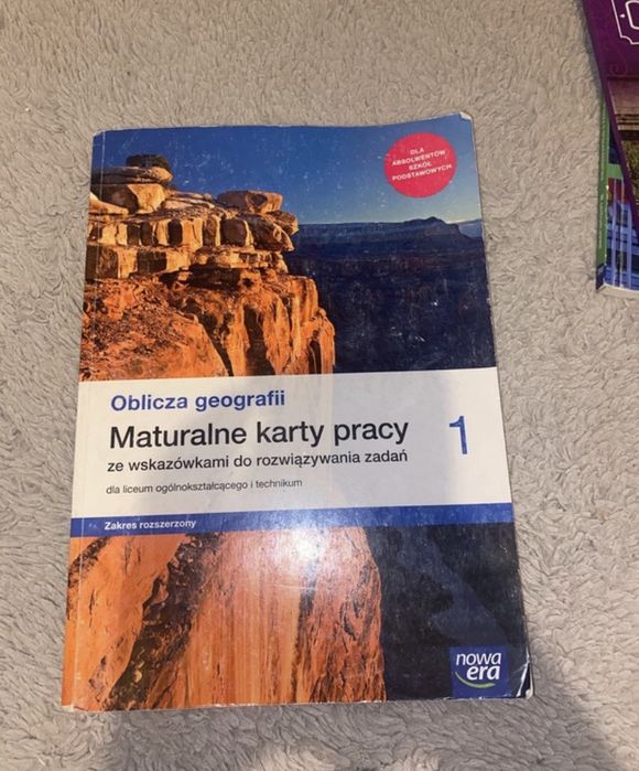 Geografia karty pracy