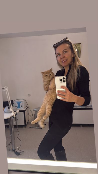 Вʼязка котів Львів