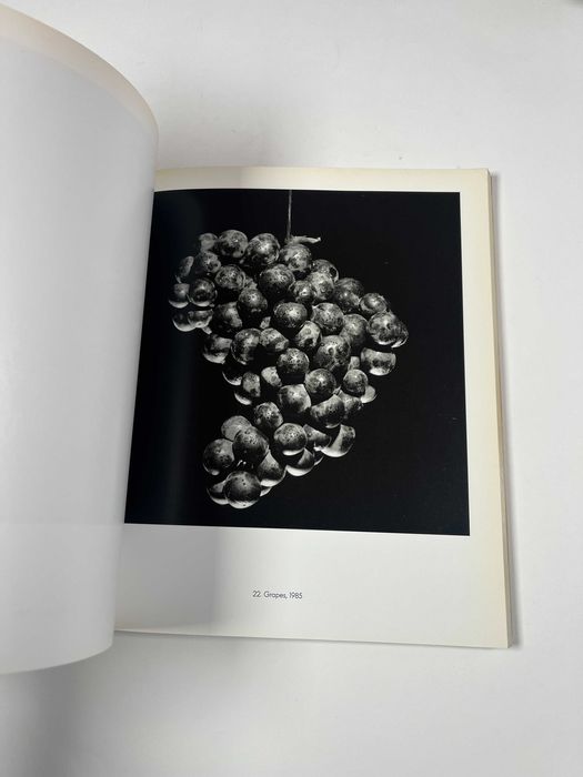 Robert Mapplethorpe Ten by Ten Fotografia