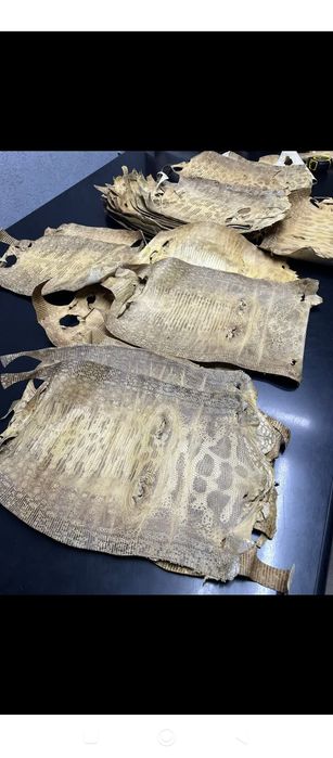 Екзотична шкіра ІГУАНИ