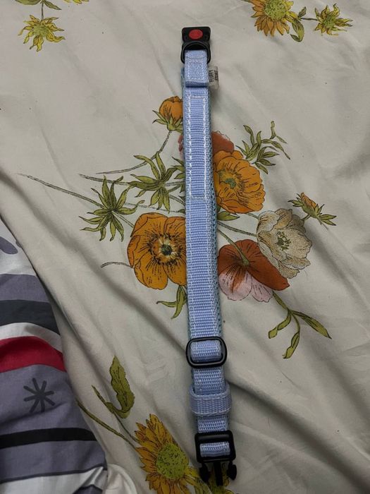 Нашийник для собаки