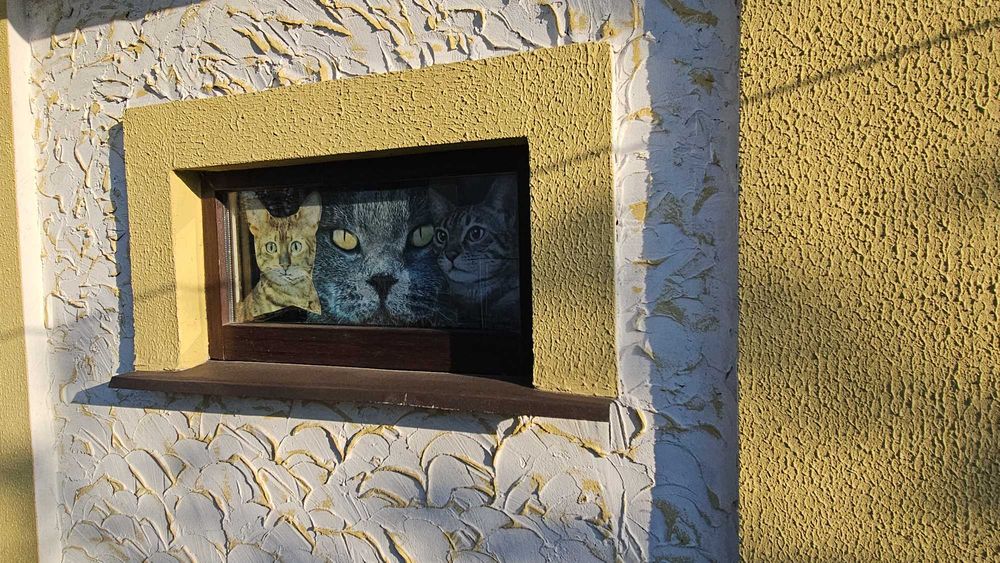 Будинок для тих то хоче тиші, смачного лісового повітря, с. Коржі є відоогляд