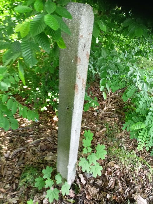 Słupy ogrodzeniowe 170 cm