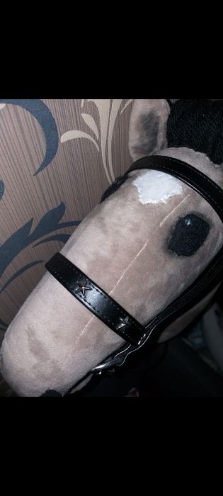 Hobby horse + akcesoria