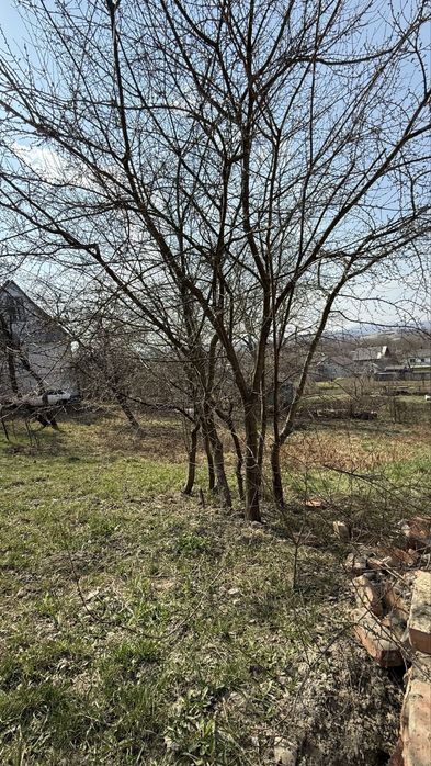 Земельна ділянка 6 сот