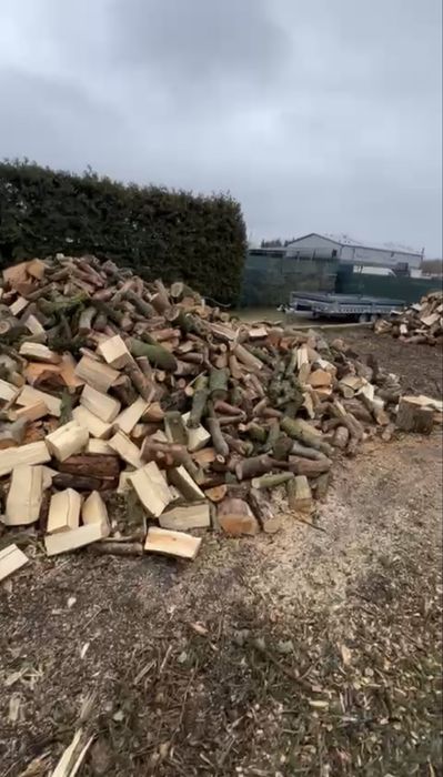 Drewno kominkowe Dąb