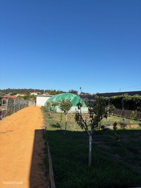 Espetacular lote urbano - Com mini quintinha - Perto TECMAIA