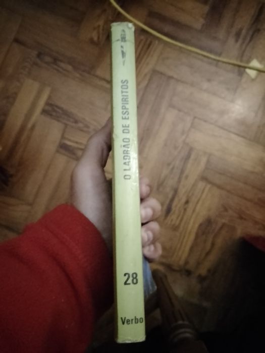 O ladrão de espíritos-N-28-A.Fantasticas12E-Porque M.estrada10EDesde2E