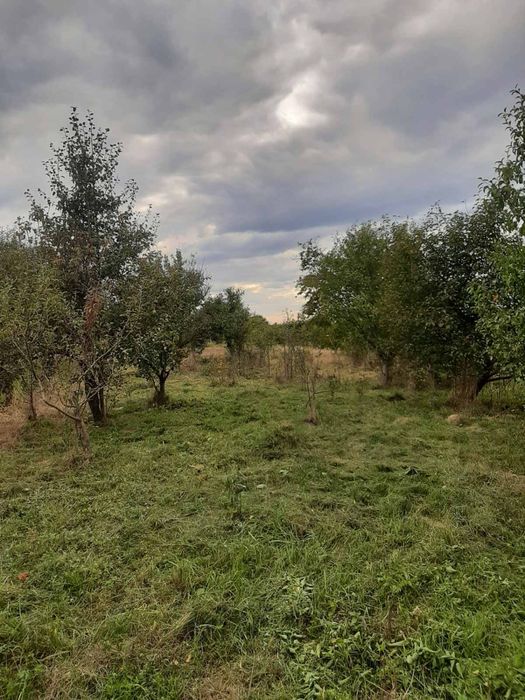 Будинок у селі Холмовець, Берегівський район, Закарпатська область