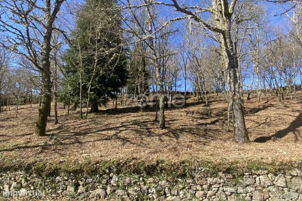 Terreno para venda em Linharelhos, Salto, Montalegre