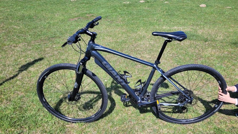Rower Crossowy Giant Roam 2 Disc w rozmiarze M