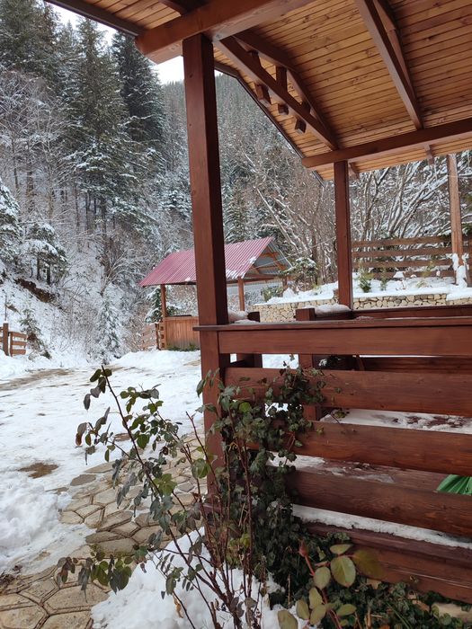 Відпочинок в Карпатах номер з окремим входом і кухнею .