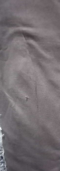 spodnie dresowe dresy M Emporio Armani EA7