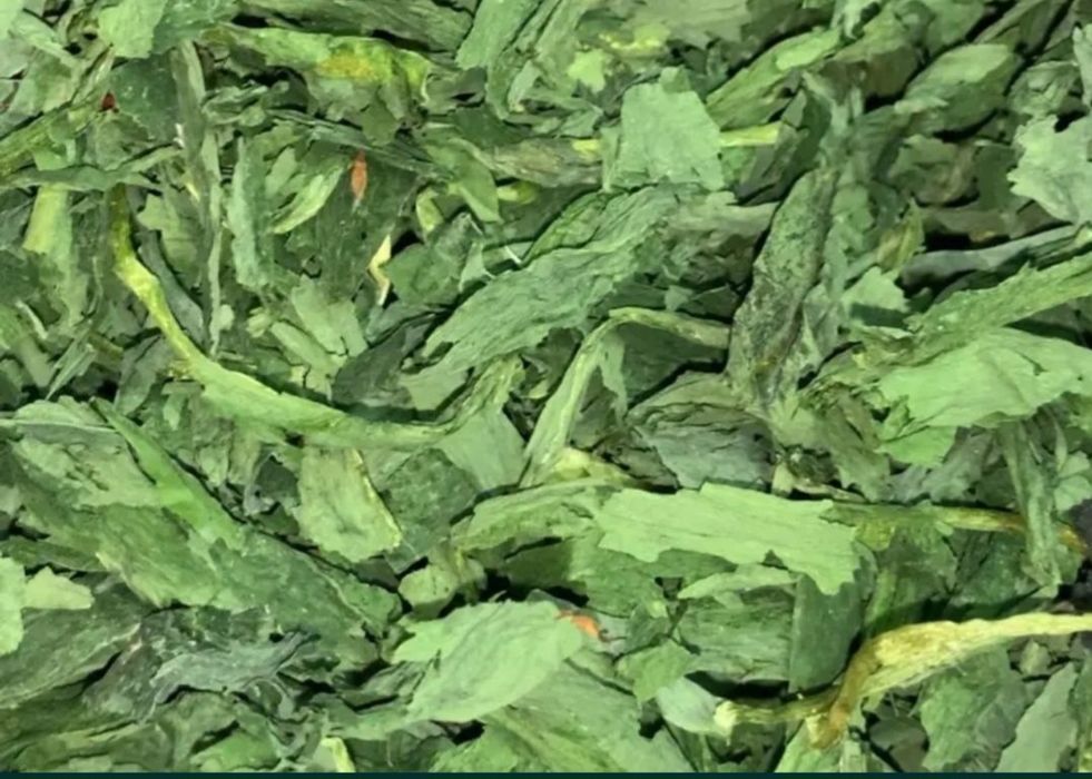 Черемша сушена дикий часник