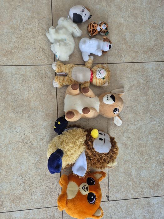 Oddam pluszaki/maskotki