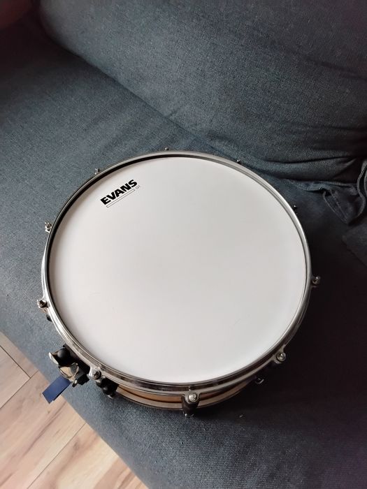 Werbel RMV Bapeva 14x6,5" | Evans | Aquarian | Pearl + case
