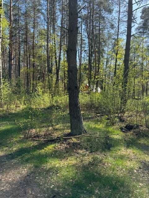 Działka rekreacyja Mierzwice kol. pow. 1409 m² - Więcej