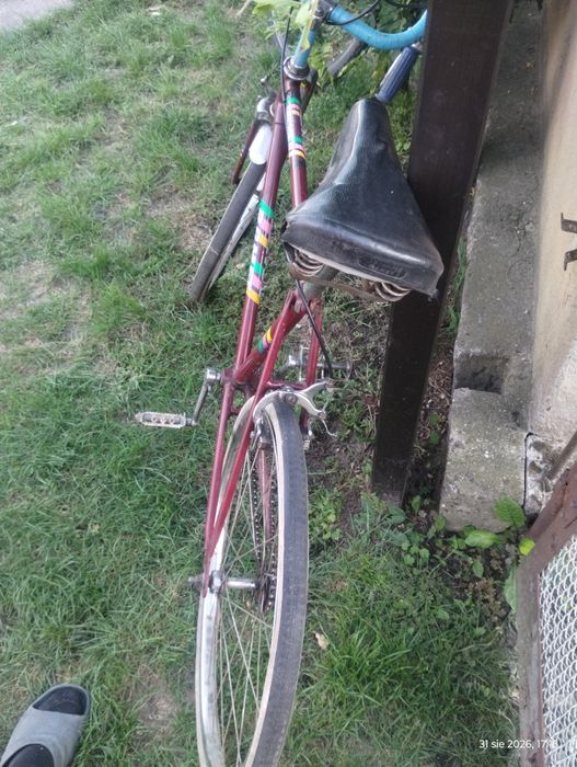 kolażówka dziecięca