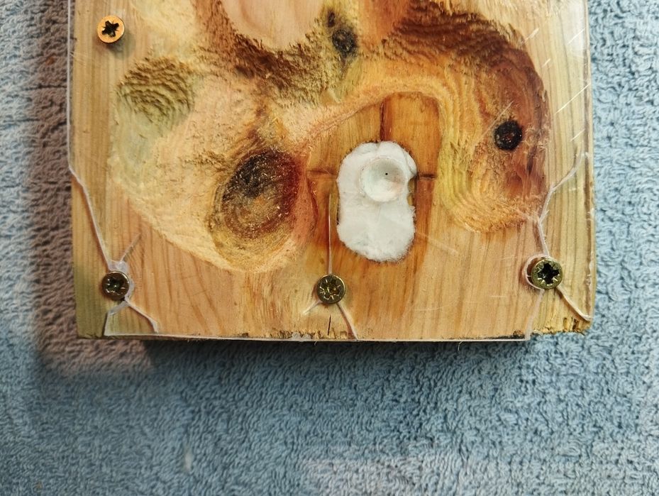 Drewniane formikarium dla mrówek 22x12[cm]