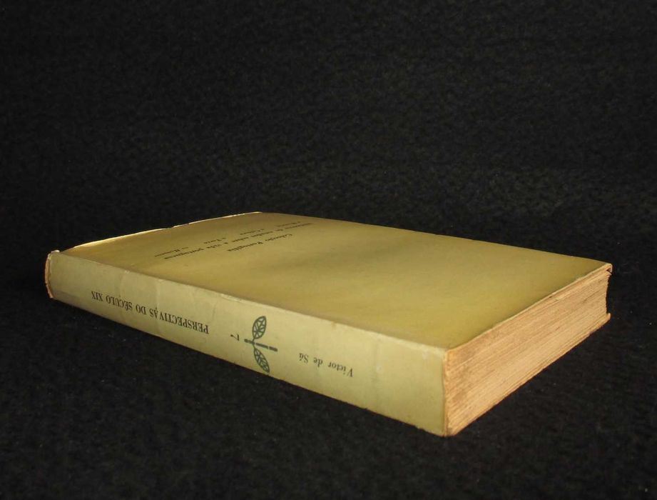 Livro Perspectivas do Século XIX Victor de Sá