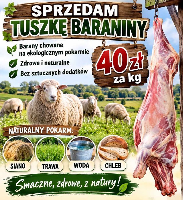 Tuszka baraniny