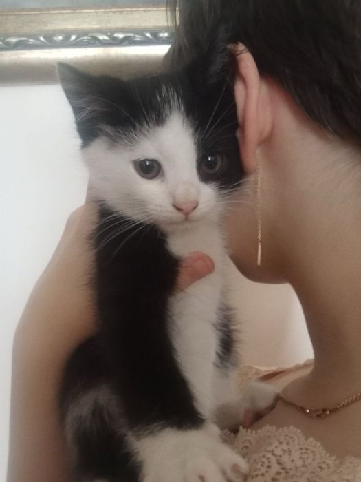 Кошення хлопчик, в добрі руки