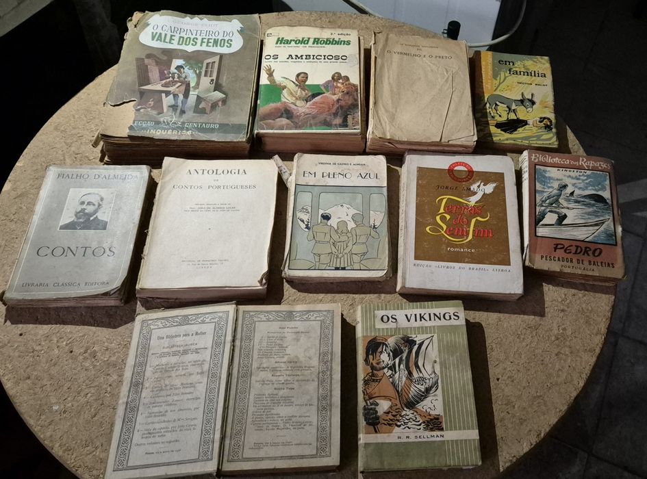 Livros variados - temáticas diversas