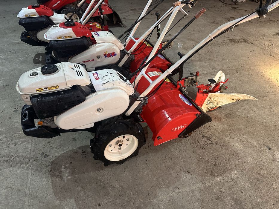 Glebogryzarka Honda Yanmar dzik