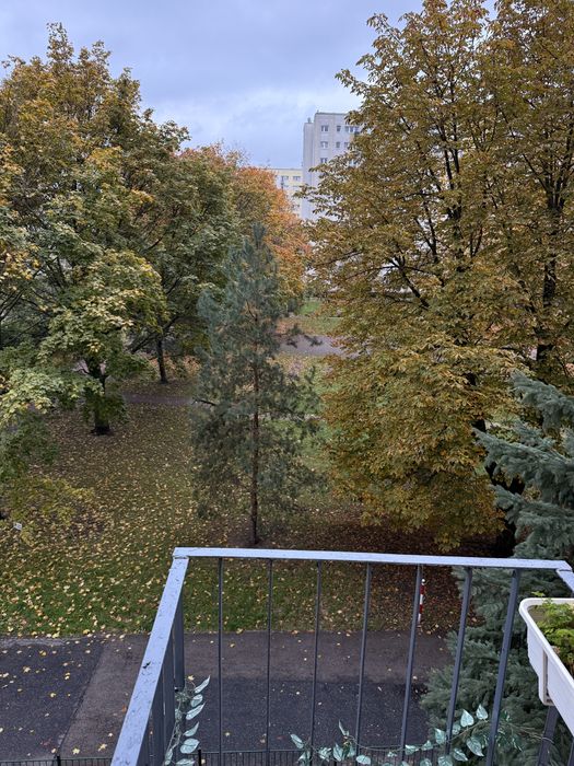 Bielany, wynajmę przestronny pokój!