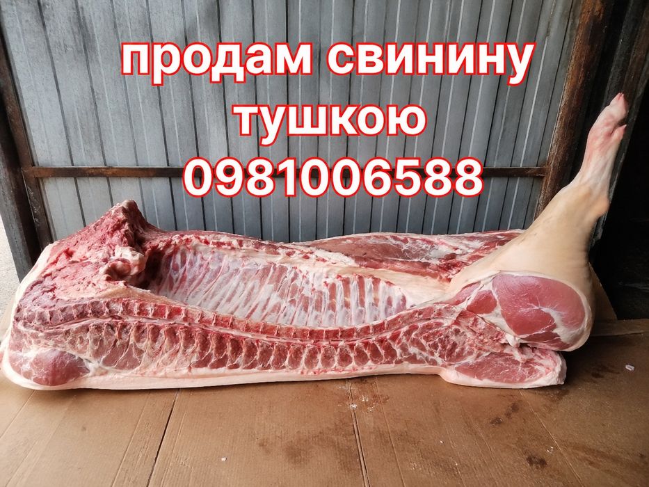 Продам свинину тушкою
