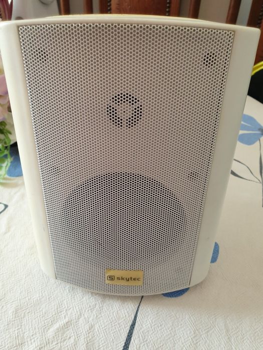 Coluna Skytec 100W