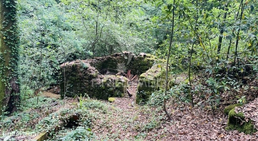 Azenha encantadora no coração da natureza — refúgio único junto à água