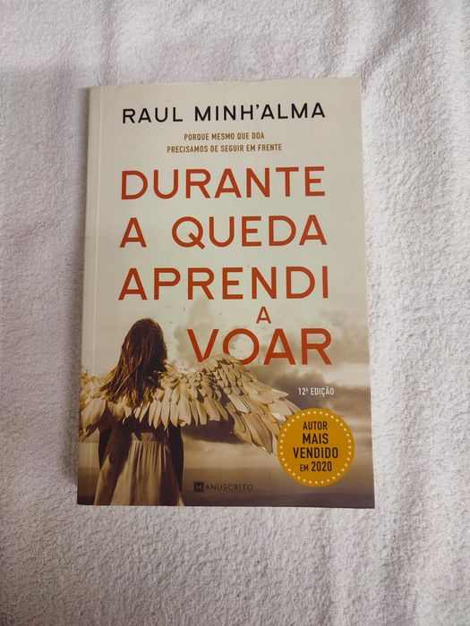Livro Raul Minh'Alma Durante a queda
